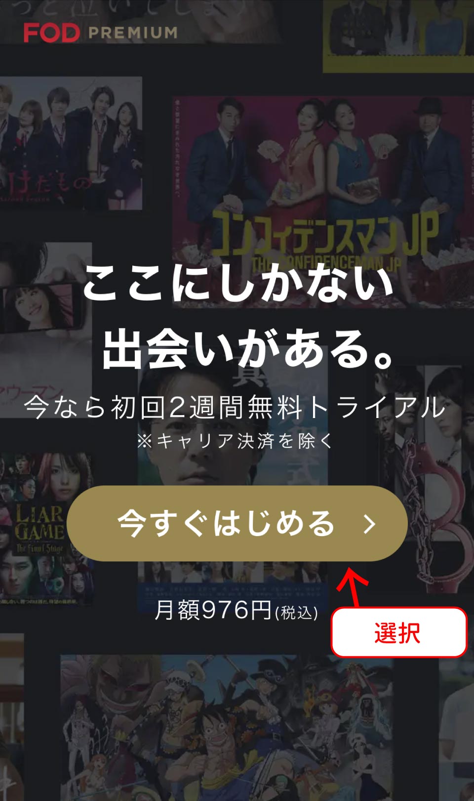 FOD Premium登録手順